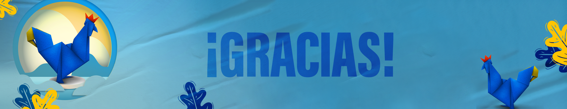 Gracias por participar