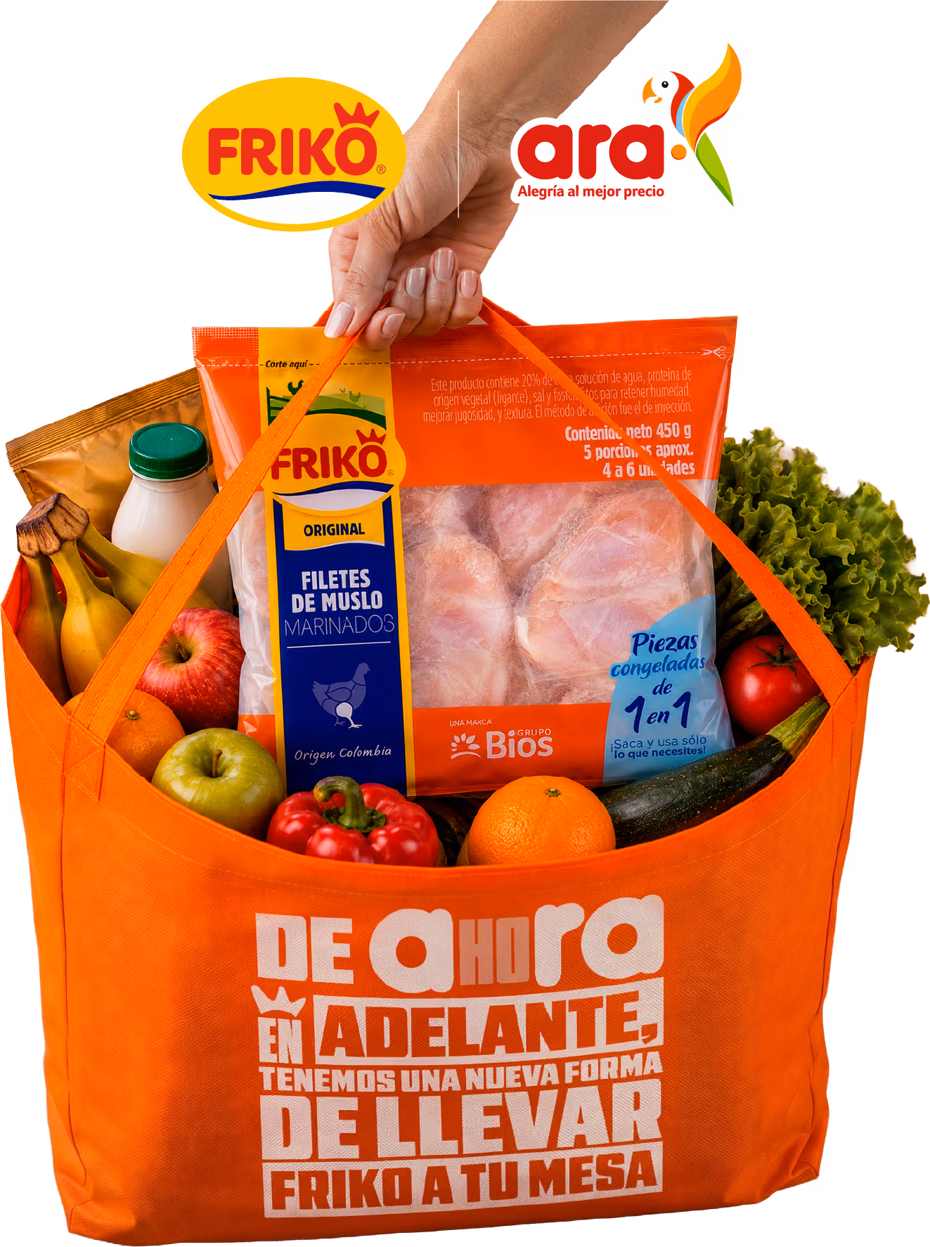 Bolsa Ara