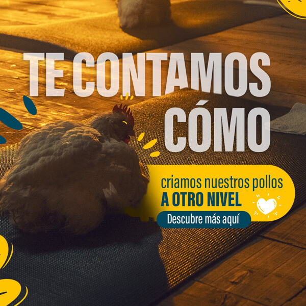 Pollos a otro Nivel