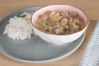 Stroganoff con pollo Friko