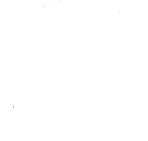 Pechuga de pollo desmechada