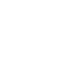 Surtida especial de pollo 